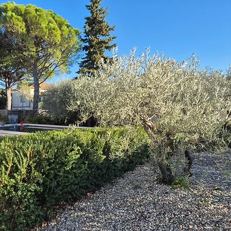 Avec Piscine Dans Un Domaine Viticole Domazan