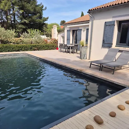 Avec Piscine Dans Un Domaine Viticole